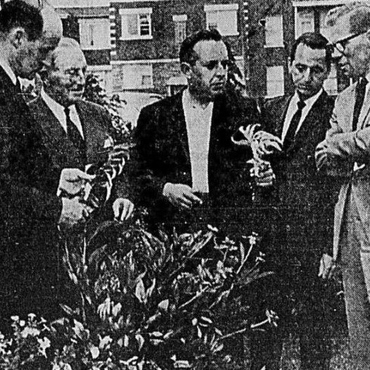 534901690_1068421218833691_5154177152709729298_n